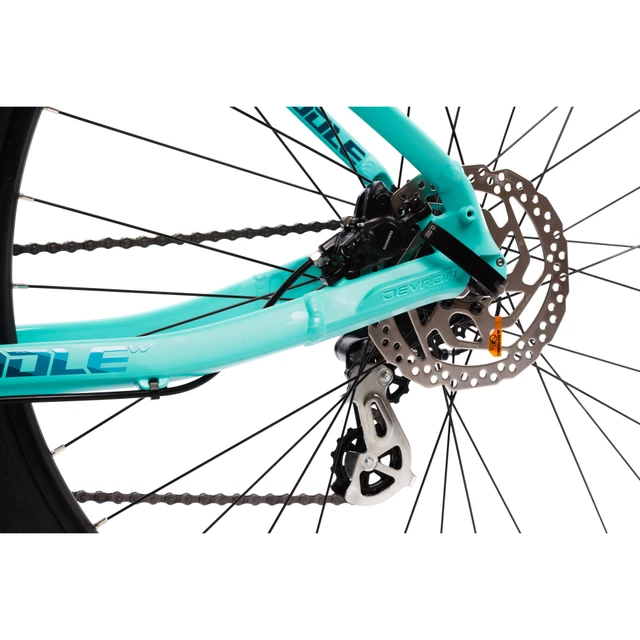 Women’s Mountain Bike Devron Riddle Lady 1.9 29” 1RW19 - Turquoise