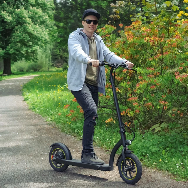 E-Scooter W-TEC Twelver 12”