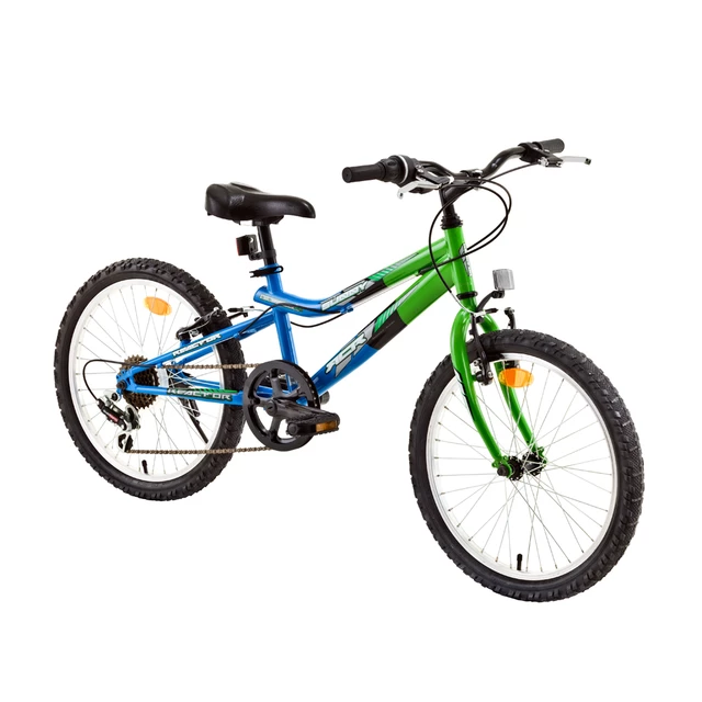 Kids mountain bike Reactor Sunny 20" - model 2014 - Green-Blue