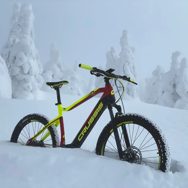 Mountain E-Bike Crussis e-Atland 8.6-S – 2021