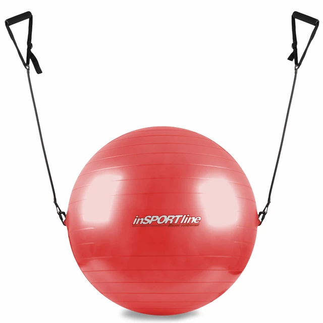 Gymnastický míč inSPORTline s úchyty 55 cm