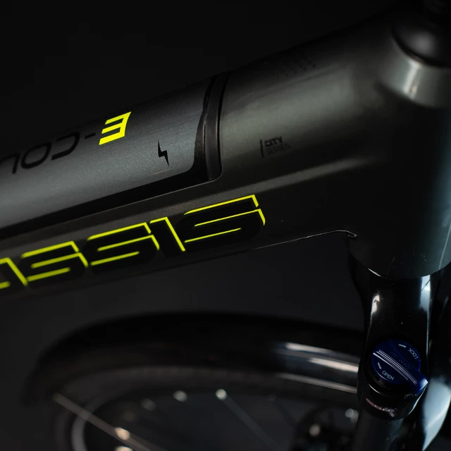 Urban E-Bike Crussis e-Country 7.8 – 2023