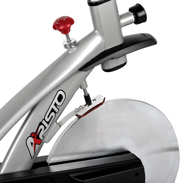 Indoor cycling Bike Steelflex CS-01