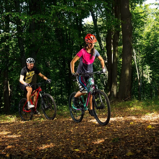 Dámské horské kolo Devron Riddle Lady 1.9 29" - model 2018