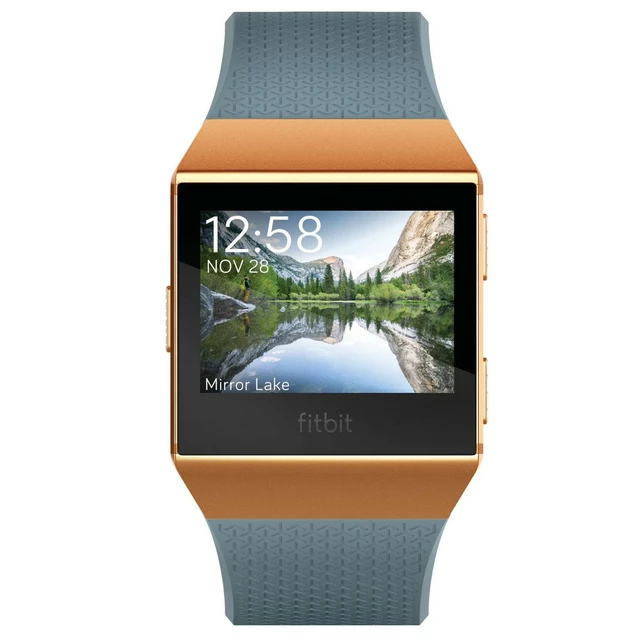Smart Watch Fitbit Ionic - Slate Blue/Burnt Orange