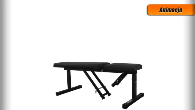 Workout Bench MAGNUS CLASSIC MC-L011 with Accessories