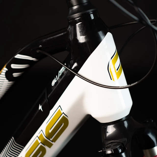 Damen Cross Country E-Bike Crussis OLI Cross Low 8.8-S - Modell 2023
