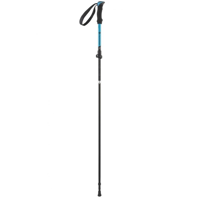 Trekking Poles FERRINO Ortles