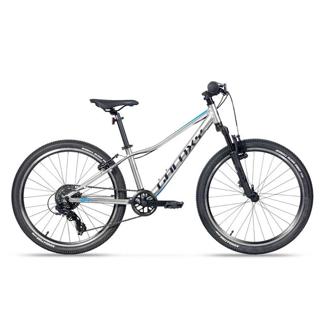 Juniorské horské kolo Galaxy Pavo 24" 9.0 - stříbrná