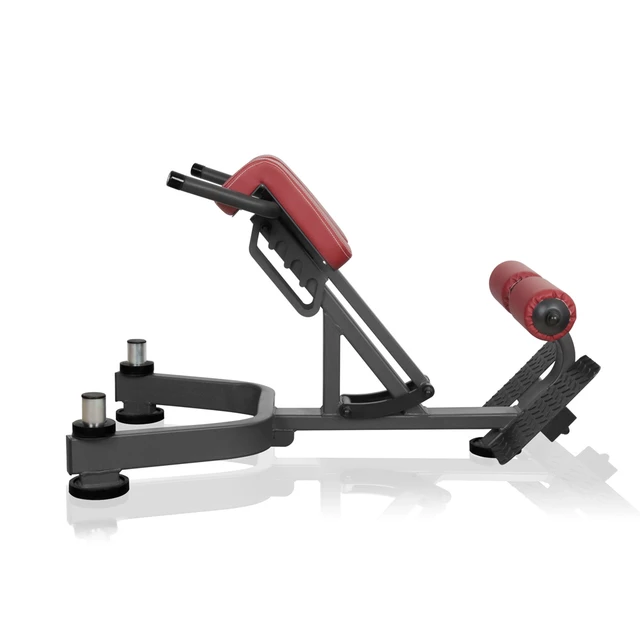 Lower Back Bench Marbo Sport MP-L212