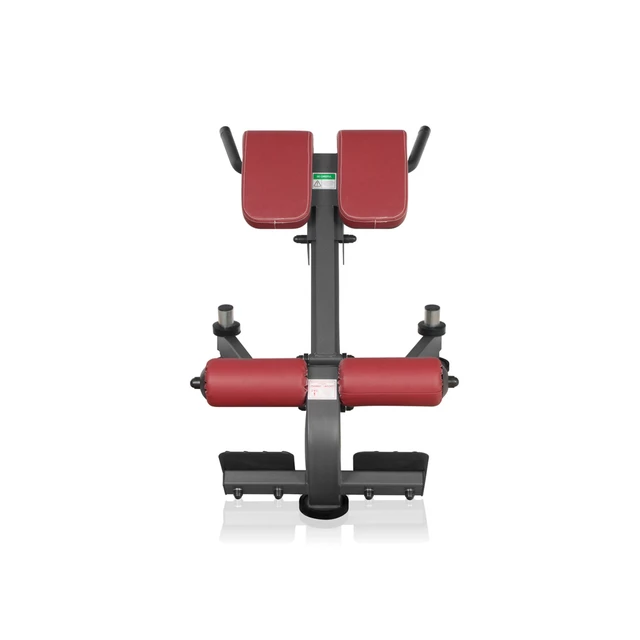 Hyperextenzia Marbo Sport MP-L212