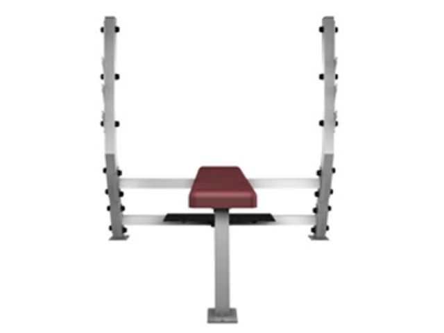Vodorovná posilovací lavice Body-Solid SFB-349G
