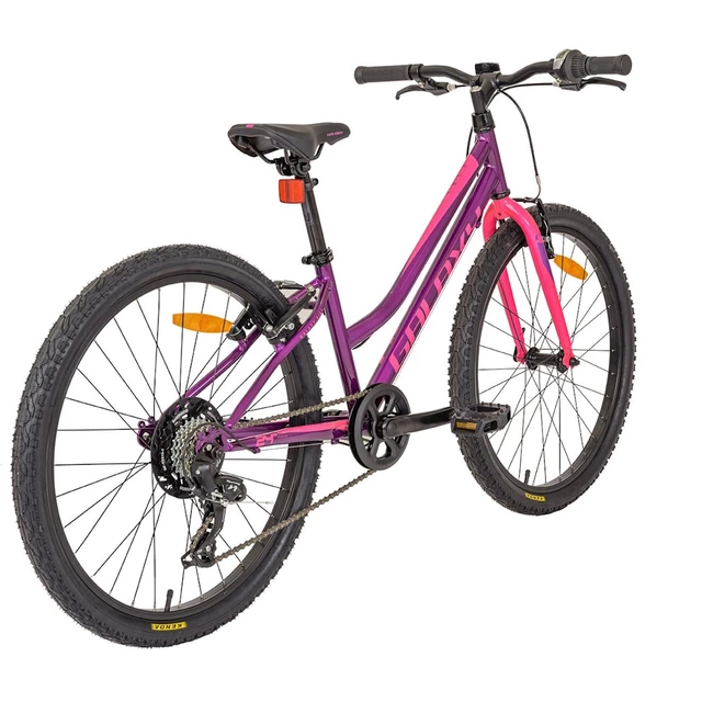 Juniorské dívčí kolo Galaxy Ruby 24" 9.0