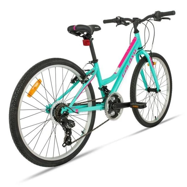 Junior Girls’ Bike Galaxy Ruby 24” – 2020 - Turquiose