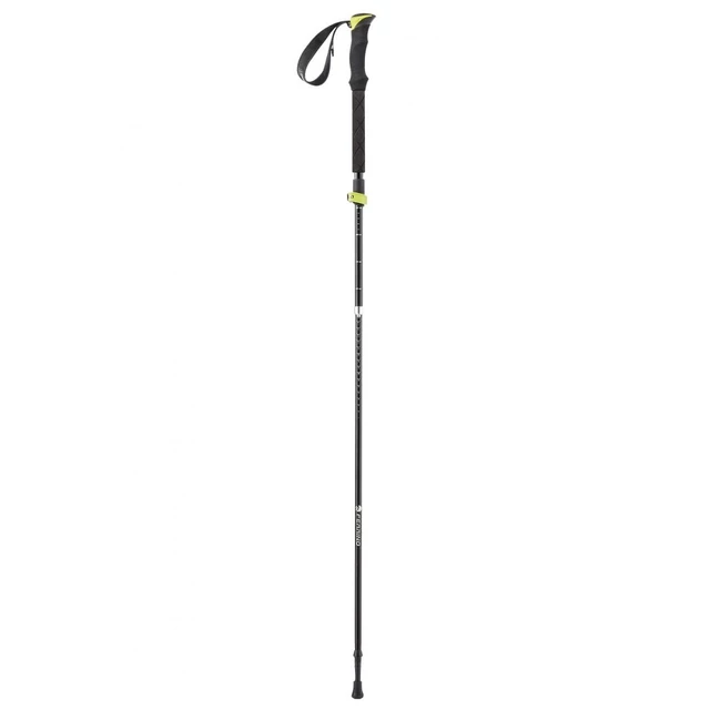 Trekking Poles FERRINO Spantik