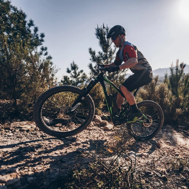 Kellys Theos AM 70 27,5" vollgefedertes Elektrofahrrad - Modell 2018