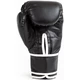 Tréninkové boxerské rukavice Everlast Training Core 2