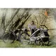 Vozík za kolo Qeridoo KidGoo 2 Sport - Anthracite Grey
