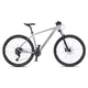Horské kolo 4EVER Victory 29" - model 2025 - silver pearl/black