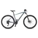 Horské kolo 4EVER FRONTBEE 29'' - model 2025 - foggy/silver