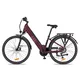 Městské elektrokolo inSPORTline ISL Eclion 648 Wh 28" - model 2026 - Velour Red