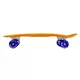 Glow-In-The-Dark Penny Board Street Surfing Beach Board Glow Mystic Forest 22.5”