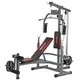 HomeGym inSPORTline ProfiGym N50