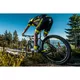 Mountain E-Bike Crussis e-Atland 3.1