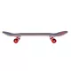 Skateboard Street Surfing Street Skate 31" Cannon