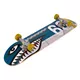 Skateboard Street Surfing Street Skate 31” Shark Fire