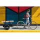 Bicycle Trailer KLARFIT Companion