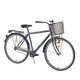 Trekking Bike DHS Citadinne 2831 28” – 2015 - Grey - Black