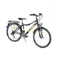 Juniorský bicykel DHS Travel 2431 24" - model 2015 - čierna - čierna