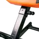 Inversion Table inSPORTline Inverso Profi