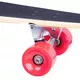 Longboard Deskorolka WORKER Maverick 43"