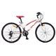 Juniorský dievčenský bicykel Galaxy Ruby 24 "- model 2014