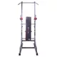 Multi-Purpose Dip Station inSPORTline Power Tower X150