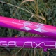 Juniorský dievčenský horský bicykel Galaxy Lyra 24" - model 2016