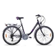 Mestský bicykel Galaxy Libra 26" - model 2015 - fialová
