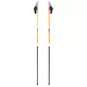 Nordic Walking Poles inSPORTline Potosi