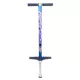 WORKER Pogo Stick 100 Springstock