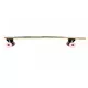 Longboard Fish Butterfly 40"