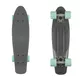 Penny board Fish Classic 22"