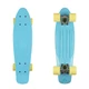 Penny Board Fish Classic 22” - Purple-White-Green - Summer Blue-Silver-Summer Yellow