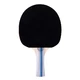 Rakietka paletka do tenisa stołowego ping pong inSPORTline Ratai S2