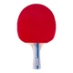 Table Tennis Set inSPORTline Setozio