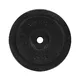 Cast iron plate Top Sport Castyr 15 kg 30 mm