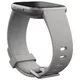 Smart Watch Fitbit Versa 2 Stone/Mist Grey