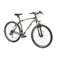 Mountain Bicycle DHS Terrana 2723 27.5ʺ – 2016 Offer - Gray-White-Blue - Black-White-Green