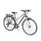 Damen-Trekkingfahrrad Devron Urbio LT1.8 - Modell 2016